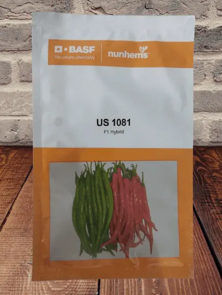 Us 1081 F1 Chili Pepper – High-Yield, Disease-Resistant Hybrid (Basf | Nunhems) 1