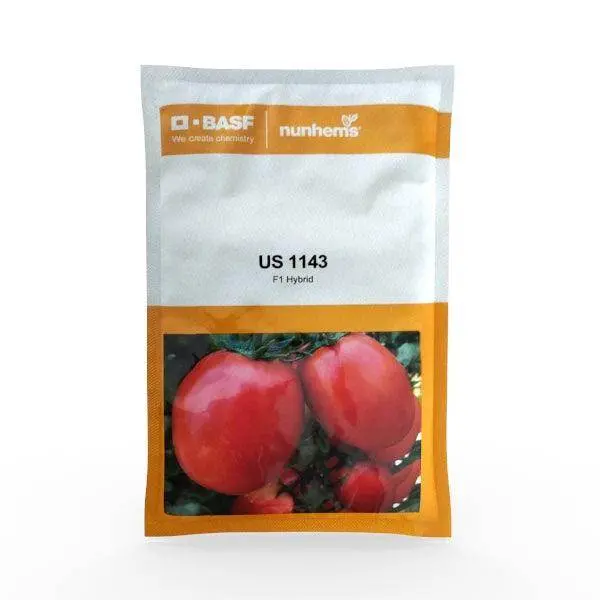Us 1143 Tomato – F1 Hybrid Slicing Type By Basf Nunhems 1