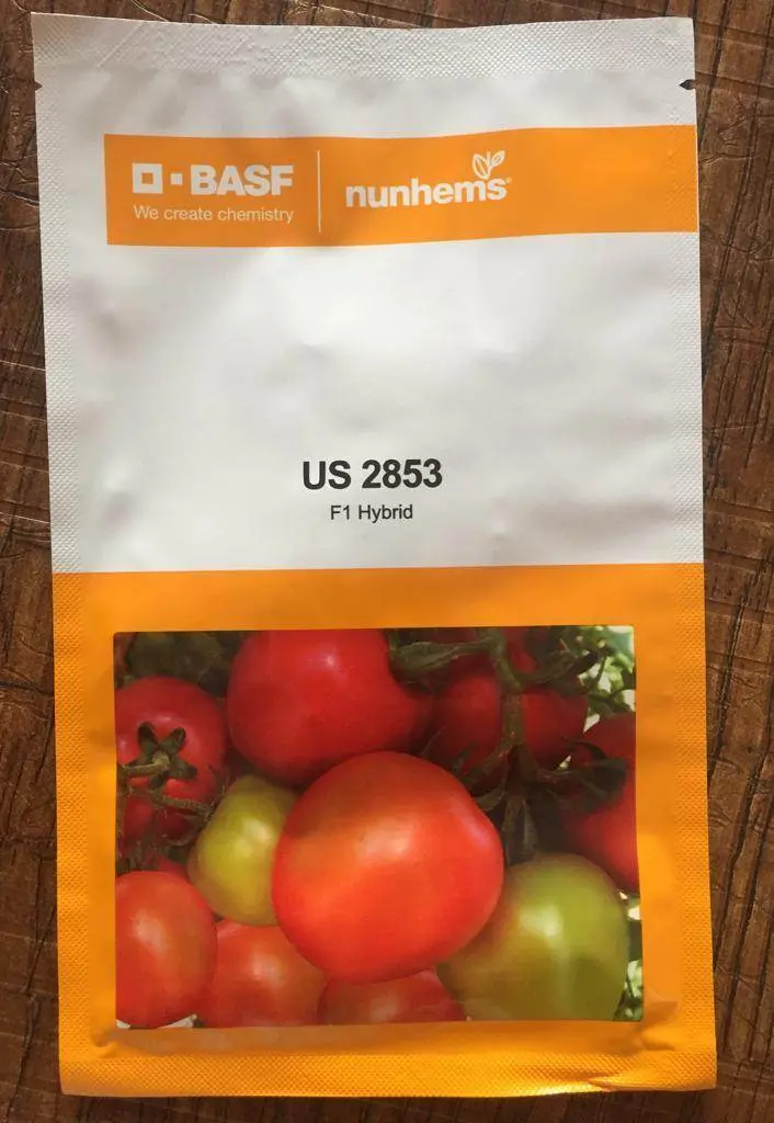 Us-2853 Tomato F1 Hybrid Seeds By Us Agri Seeds 1