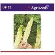 Us-33 Bitter Gourd F1 Hybrid Variety – Us Agri Seeds 1