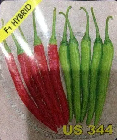 Us 344 Hot Pepper Seeds – Us Agri Seeds 1