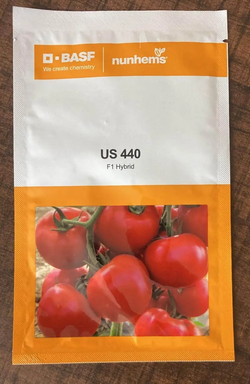 Us 440 F1 Tomato Seeds – Basf Nunhems High-Yield Variety 1