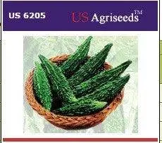 Us-6205 Bitter Gourd Hybrid Seeds – Us Agri Seeds 1
