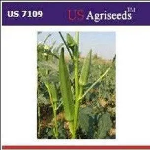 Us-7109 Okra (Bhindi) Hybrid Seeds – Us Agri Seeds 1