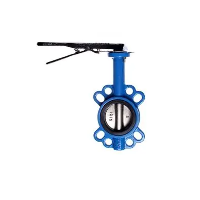 Venice Butterfly Valve With Ductile Iron Disc – Compact Flow Control 1