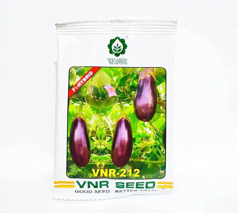Vnr 212 F1 Hybrid Eggplant Seeds – Disease-Resistant Brinjal By Vnr Seeds 1