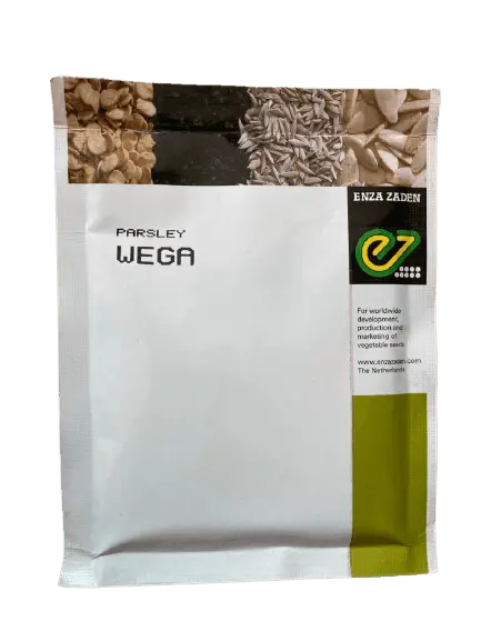 Wega F1 Parsley Seeds – Slow-Bolting, High-Yield Flat-Leaved Variety 1