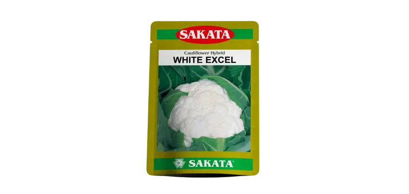 White Excel F1 Cauliflower Seeds – Early-Maturing Sakata Hybrid 1