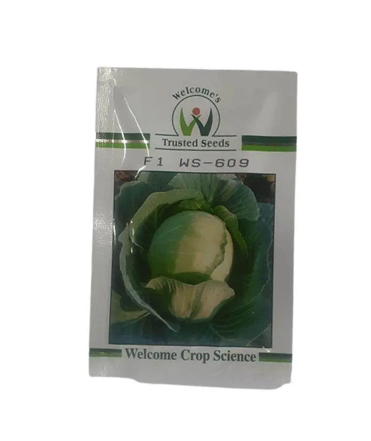 Ws 609 F1 Cabbage Seeds – Welcome’S Disease-Resistant Hybrid 1
