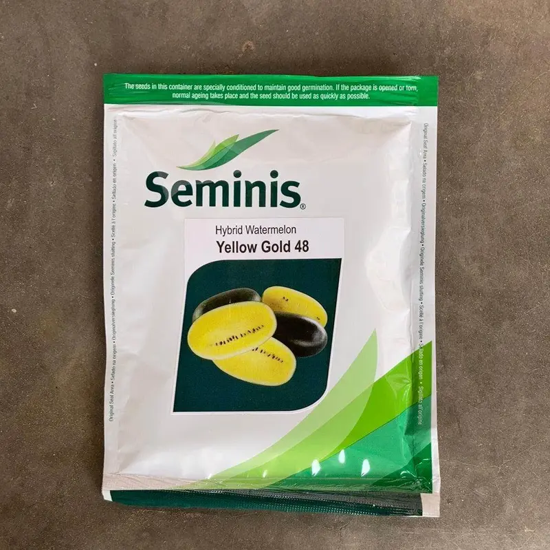 Yellow Gold 48 Vegetable Seeds – Seminis Certified Variety 1