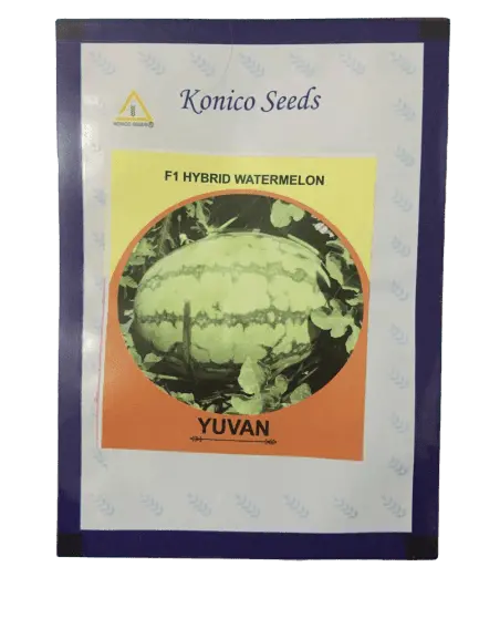 Yuvan F1 Watermelon Seeds – Konico Seeds 1