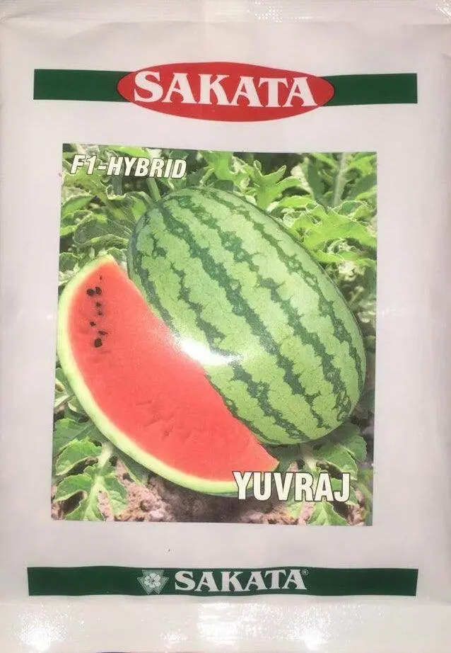 Yuvraj F1 Hybrid Watermelon Seeds (Sakata) 1