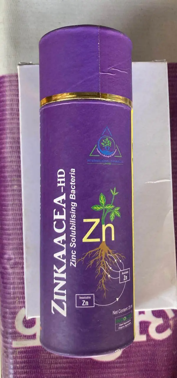 Zinkaacea-Hd Biofertilizer – Zinc-Solubilizing Bacterial Strain – International Panacea Ltd. 1